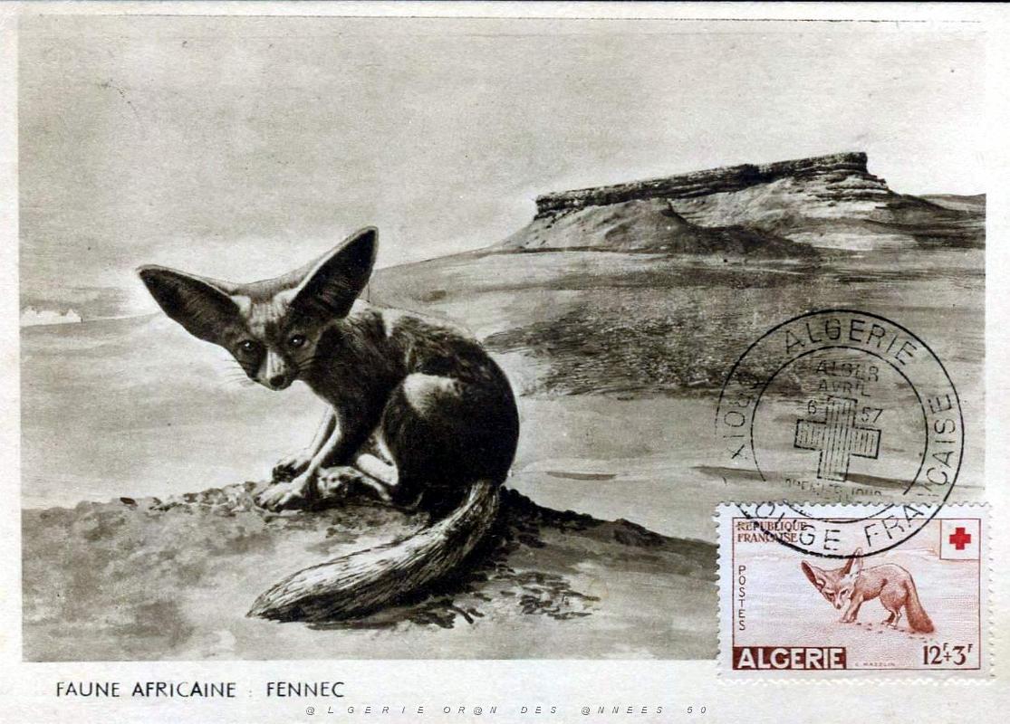TIMBRES 1 ER JOUR (159).jpg